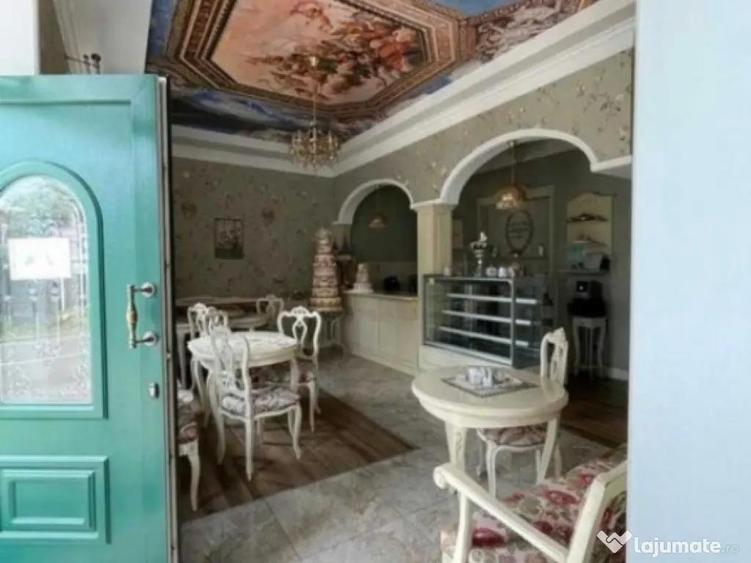 Oportunitate de investitie! Spatiu comercial, zona ultracent - 2