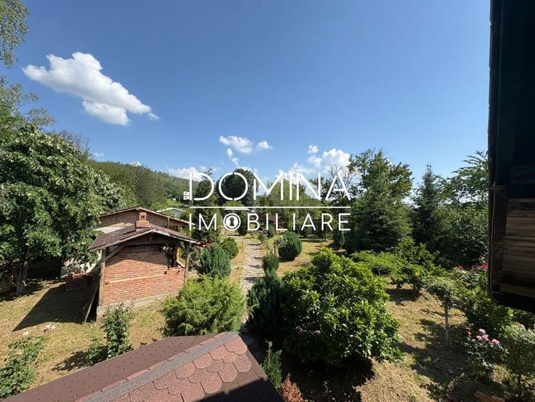 *Domeniu* cu potential turistic - casa de vis, livada si vie - Bumbesti-Jiu - 9