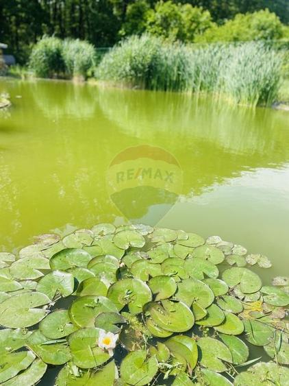 Vilă de vânzare Padurea Snagov - 16