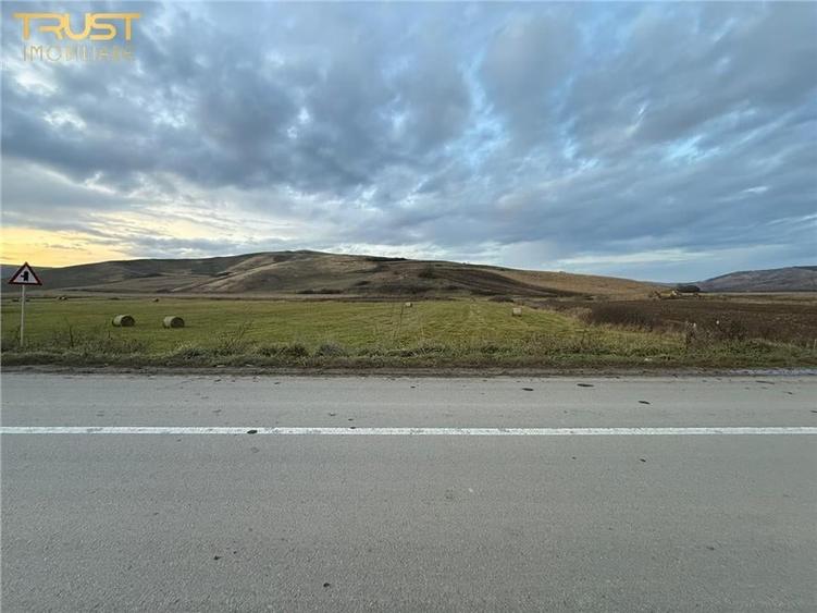 Teren Extravilan I 6000 Mp I Acces la drum | Cojocna - 5