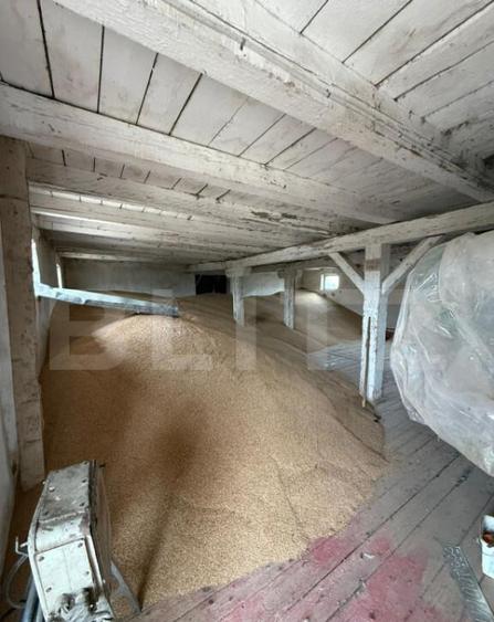 Ferma de Vanzare in judetul Timis, la nord est de Timisoara, - 18