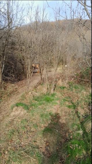 Vand teren intravilan livada - 1