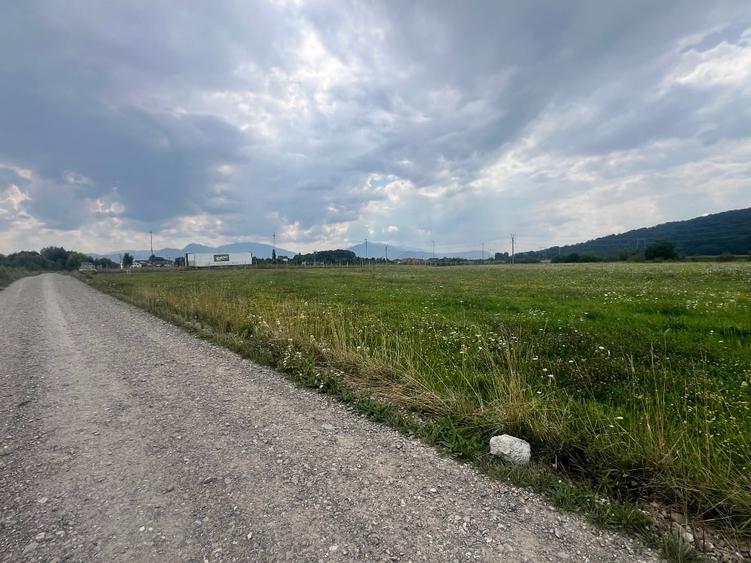 Teren de vanzare  10800 mp - 5