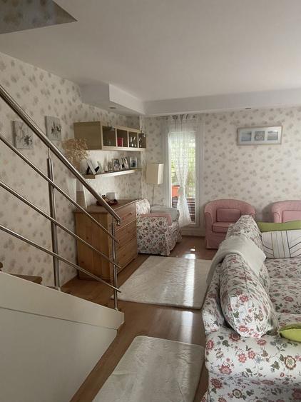 Vila Cosmopolis, direct de la proprietar - 3