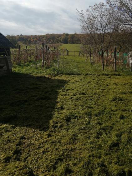 Casa de vanzare cu teren in Cinta - 1