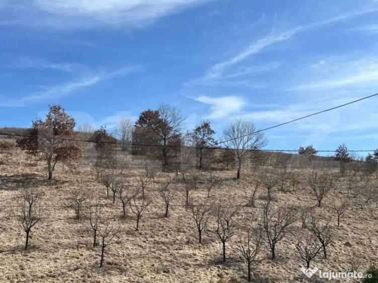 Opprtunitate de investi?ie! Teren intravilan in Mera! - 1