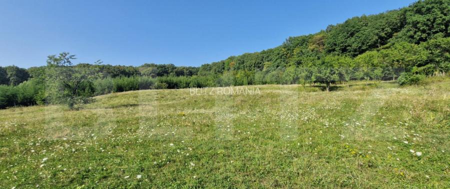 Teren de vanzare, 1Ha in apropiere de cartierul RAAL Teren de vanzare, 1Ha in apropiere de cartierul RAAL