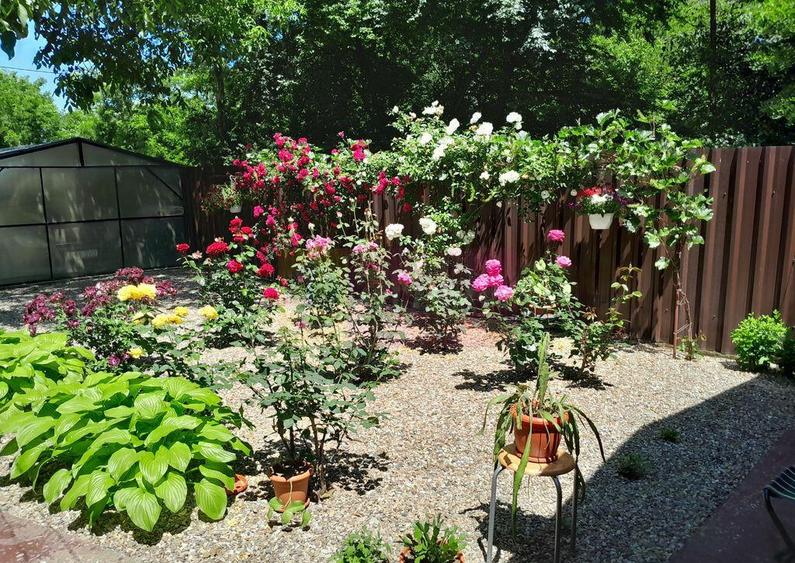 Movilita (IL) - de vanzare casa 5 cam p+1 - 2