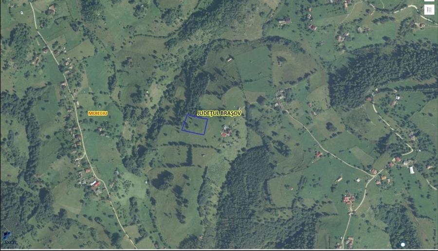 Vanzare Teren cu Punct de Belvedere in Moieciu zona Magura-Pestera - 1