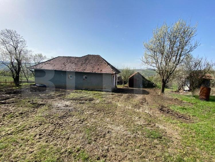 Casa  cu 10000mp de teren in Buza, la 50 km de Cluj-Napoca - 10