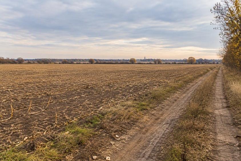 Teren agricol extravilan de 27800 mp, în Calopăr