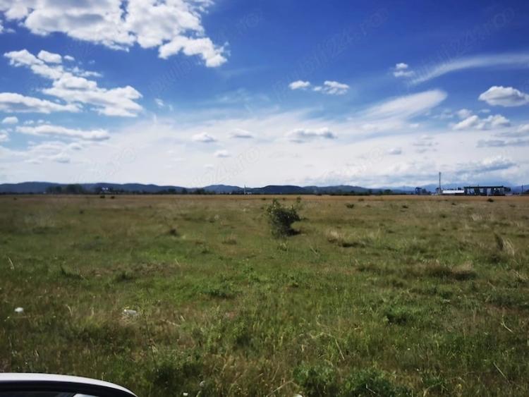 Teren de 7500 mp, în Florești
