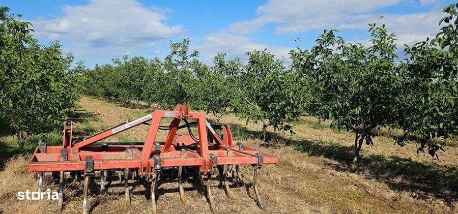 Vanzare plantatie/ferma de nuci, 2000 pomi, 14ha, Prahova - 1
