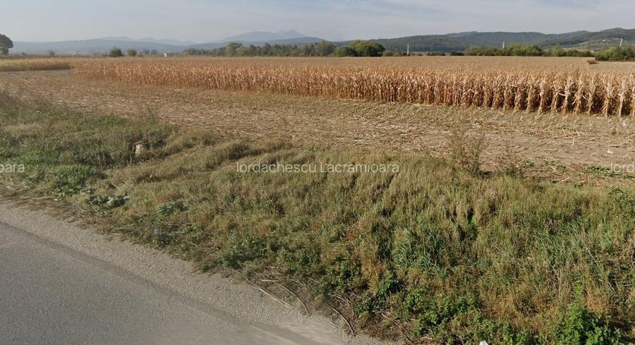 De vanzare teren industrial extravilan de 3.5  ha, în  Codlea zona Sud