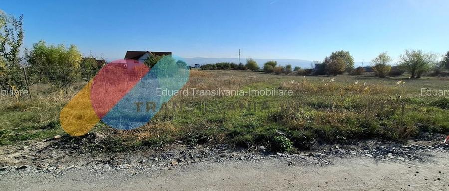 Teren intravilan cart Dambul Rotund Cluj-Napoca 3500mp