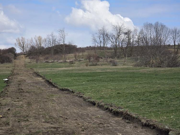 Teren Extravilan Dealul Fanatelor - 2