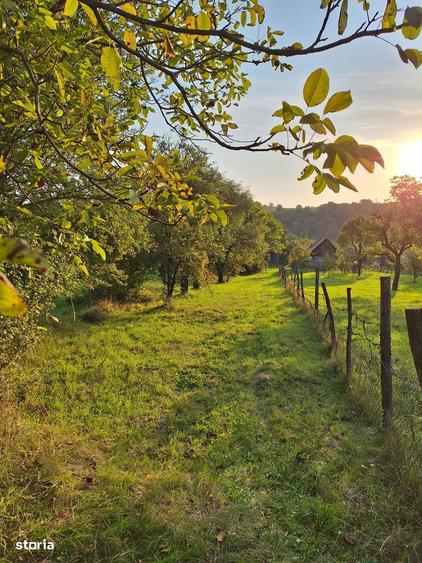Teren cu casa si anexe - centru comuna, acte in regula - 3