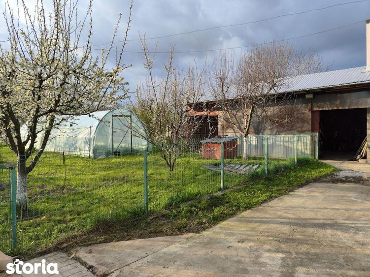 Casa si depozit materiale constructii( 35 km de Bucuresti) - 19