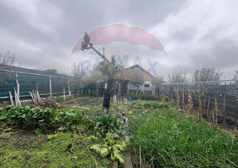 Casa 2 camere Carligele - 7