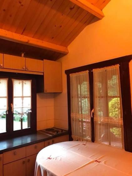 Pensiune montana cu 3200 mp teren in Bicaz, judet Neamt - 6