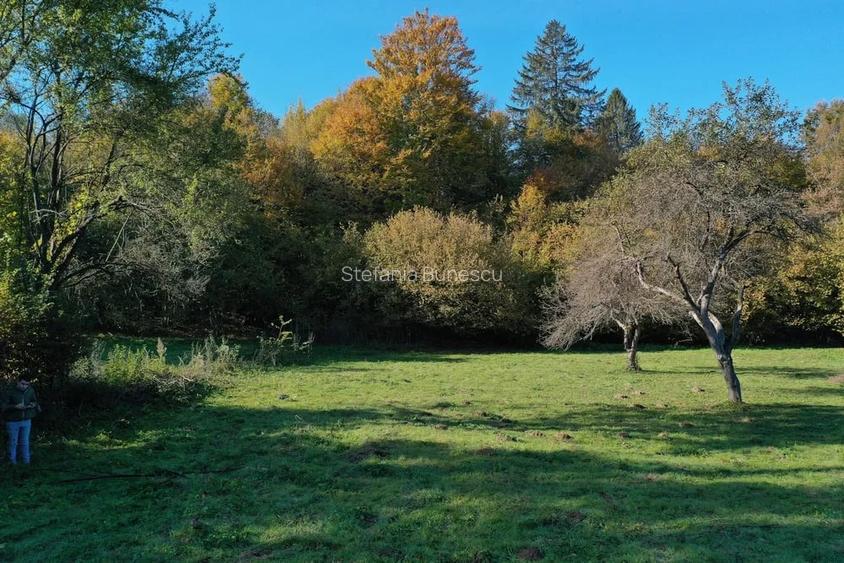 Teren intravilan | 1300 mp | de vanzare- Valea Avrigului