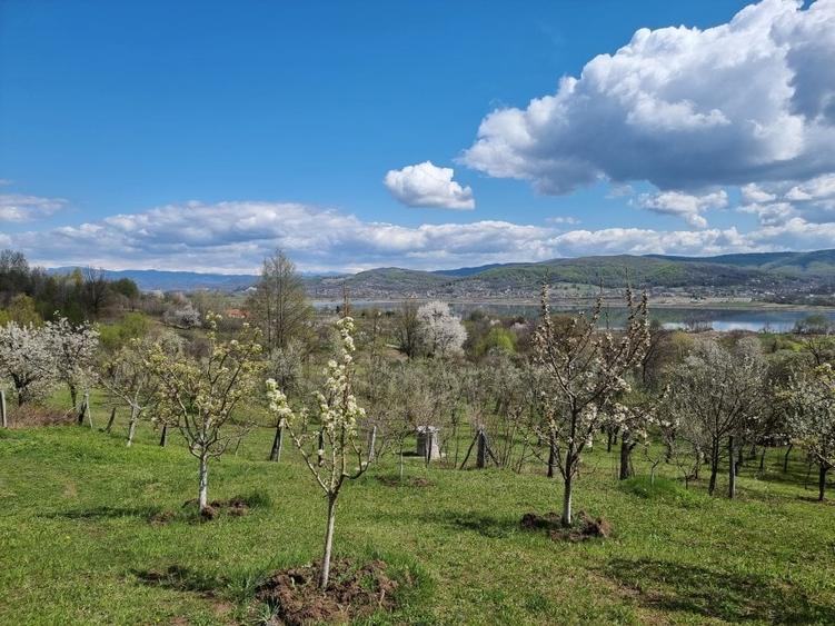 Pamant vanzare | Lac Zigoneni | Valea Lui Enache | Priveliște superba - 9