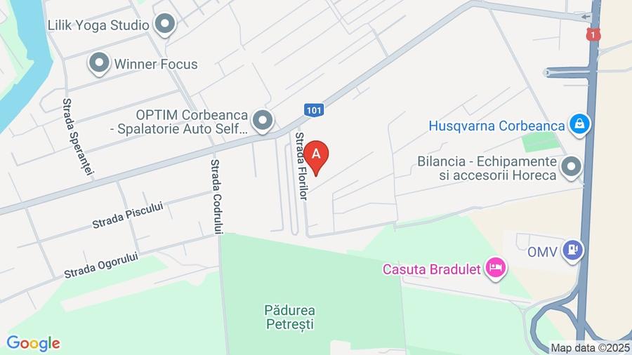 Casa vanzare Corbeanca langa padure - 1