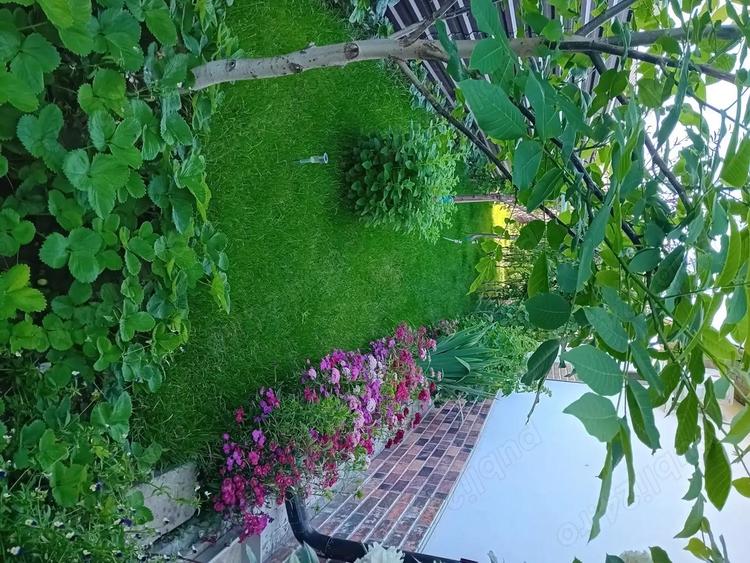 Casa 90mp complet utilata ?i mobilata 130 000 e negociabil - 5