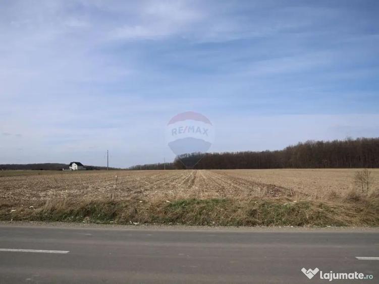 Teren 9,740mp Suceava / Strada Principala - 9