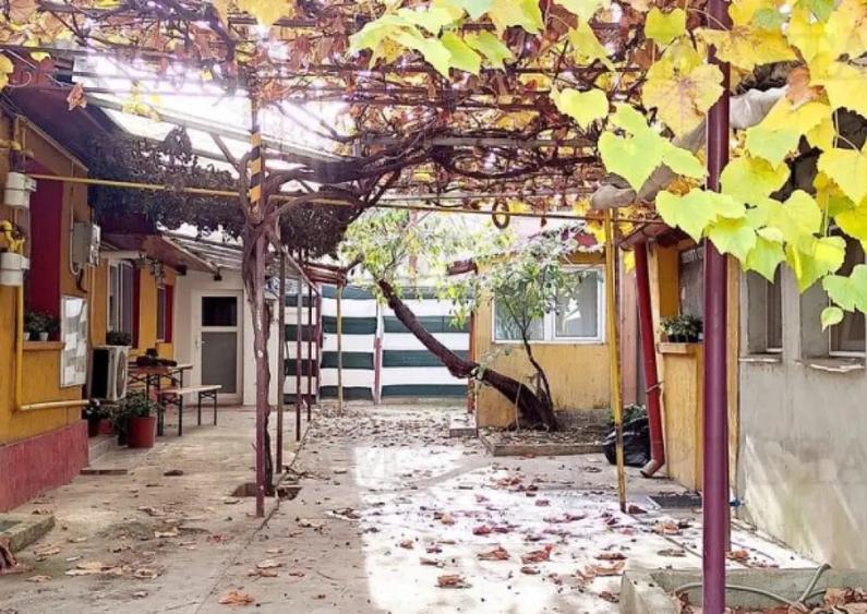 Casa renovata zona tei, locuinta sau investitie.Oferim redu - 7