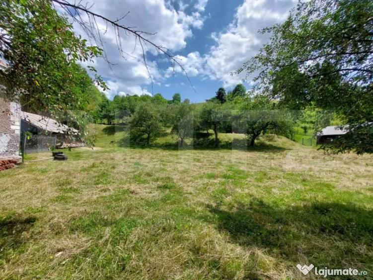 Casa de 120 mp si 1ha teren in Doroteia, Suceava - 8