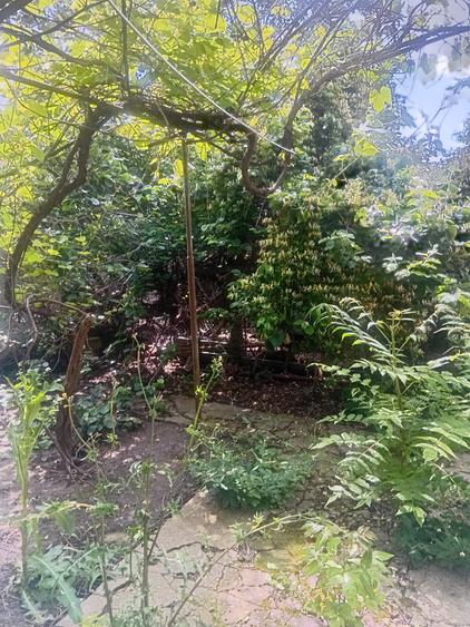 Casa cu toate utilitatile Podul Constanta cu CT - 3