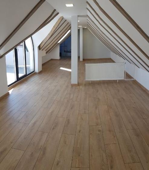 Birouri ultracentral cu acces din strada B-dul Victoriei ! - 6