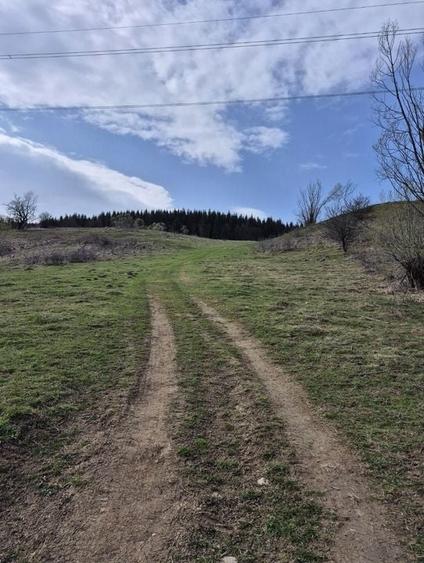 Teren intravilan la baza pădurii Valea Doftanei sat Traisteni (poduri) - 12