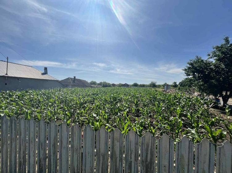 Vând teren intravilan în comuna Lunca Banului   - 1