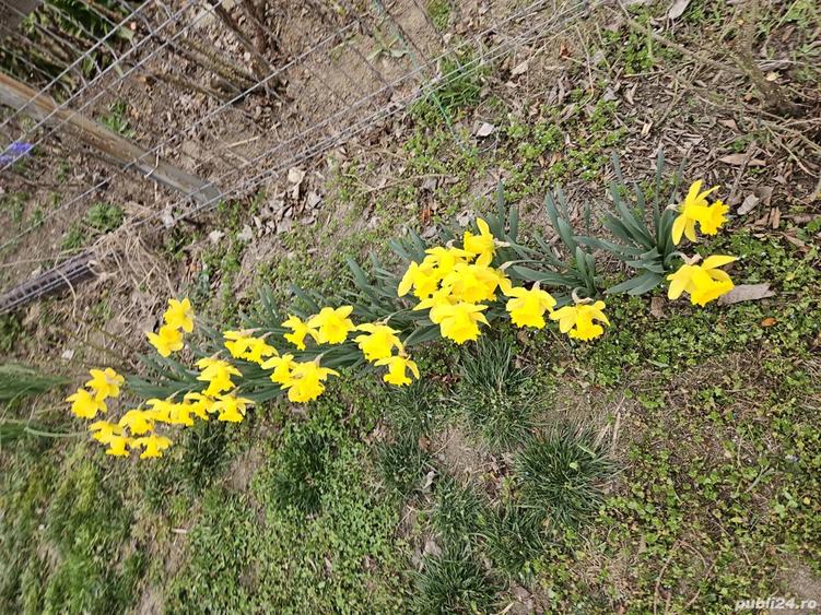 casa de vanzare (schimb cu ap. in Buc.) - 1