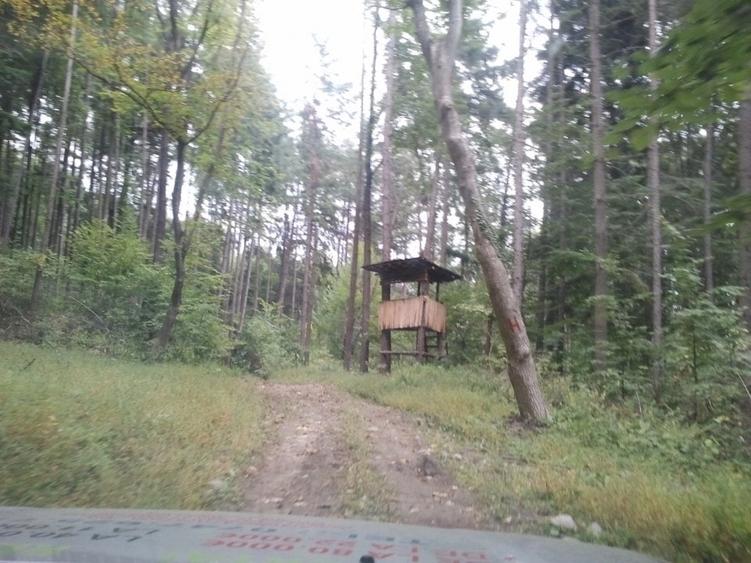 Teren agrement padure langa Strandul Termal Caciulata - 1