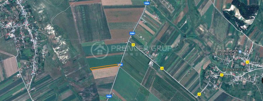 Teren 7.000mp, Miroslava - Liliac - 9