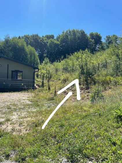 Teren de vanzare - Casele Micesti, comuna Feleacu, Cluj - 2