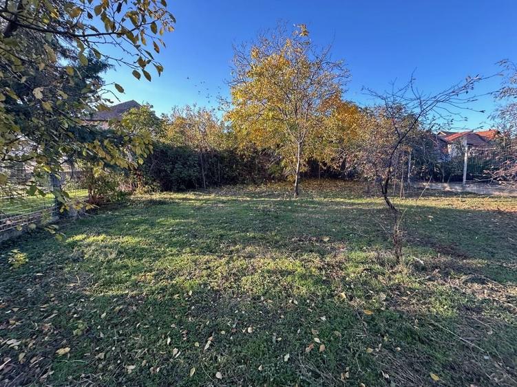 Casa Parter in Giarmata  teren 816 mp - 8