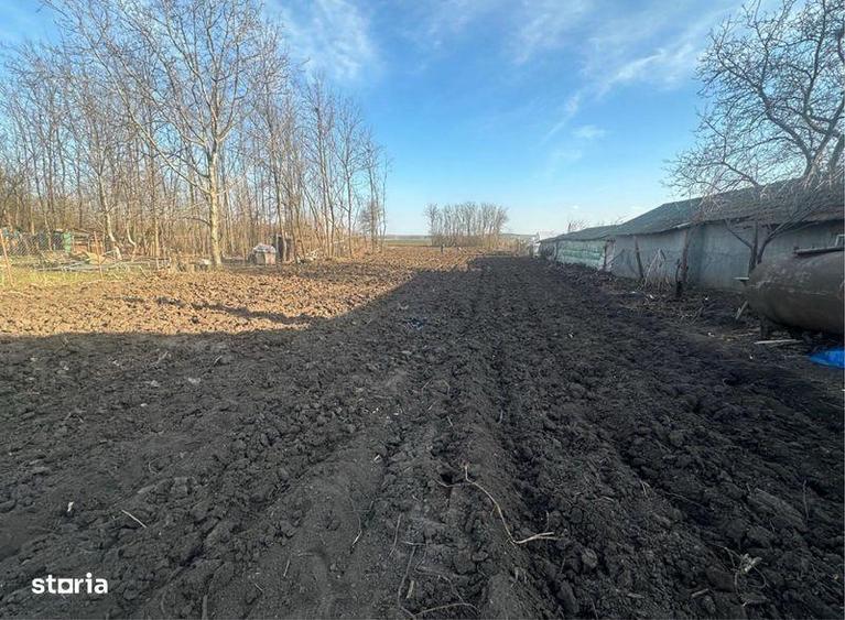 Vand teren intravilan Chiselet Calarasi - 6