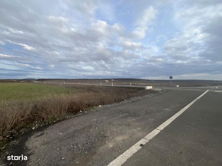 Teren 7481 mp, cu acces facil la Inelul Metropolitan - 2