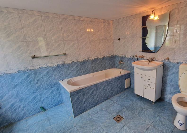 Casa la tara 1500 mp la 25 km Bucuresti comuna Comana - 2