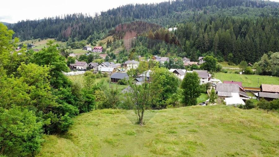Teren 6,865mp Voronet / Gura Humorului / Bucovina - 9