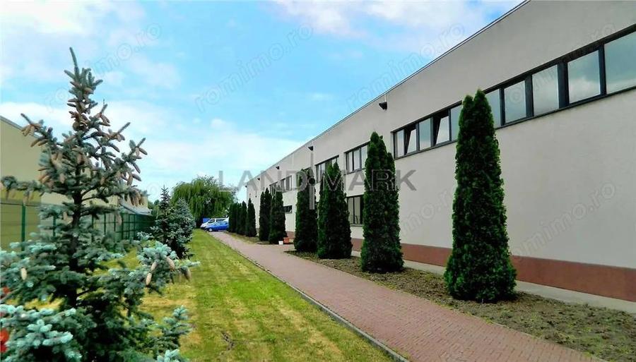 Hala industriala de vanzare, Timisoara Nord Vest - 6