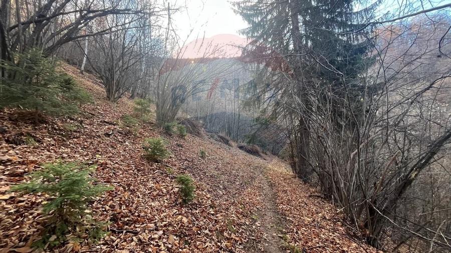 Teren Colinar Panoramic – 17.684 mp în Scheii Brașovului - 13
