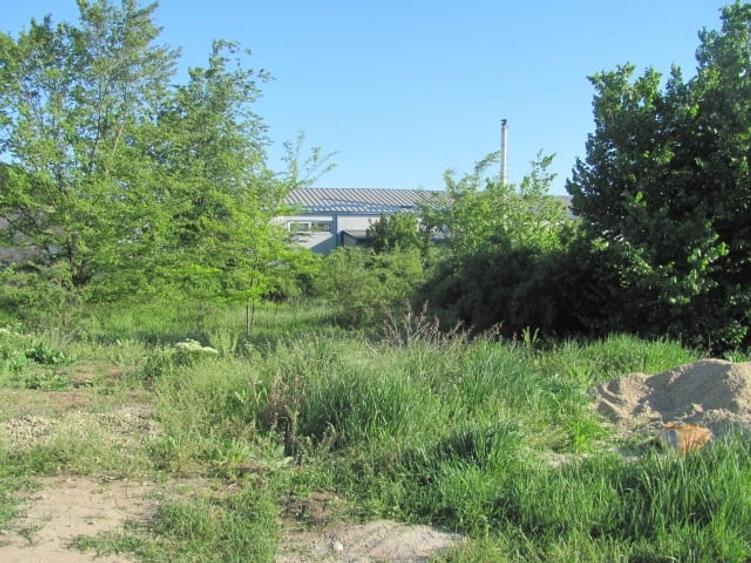 Prelungirea Ghencea - Topaz - 7