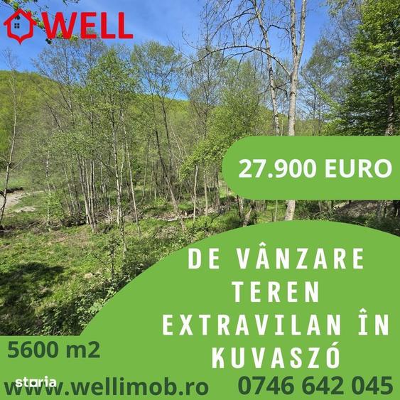 De vanzare teren extravilan in Kuvaszo! - 1