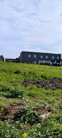 Paradisul Verde-Corbeanca,intravilan,10300mp,deschidere lac-120m,view deosebit - 1