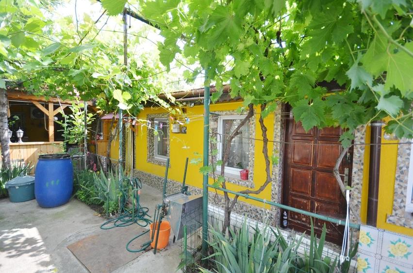 Casa din caramida, Parter + Pod - Dobroesti - 22